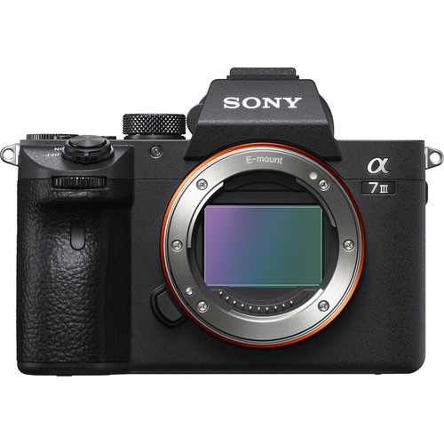 Sony 7 III + Lente 50mm f/1.8