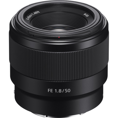 Sony 7 III + Lente 50mm f/1.8